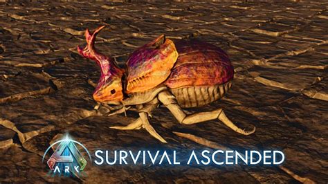 dung beetle ark ascended.